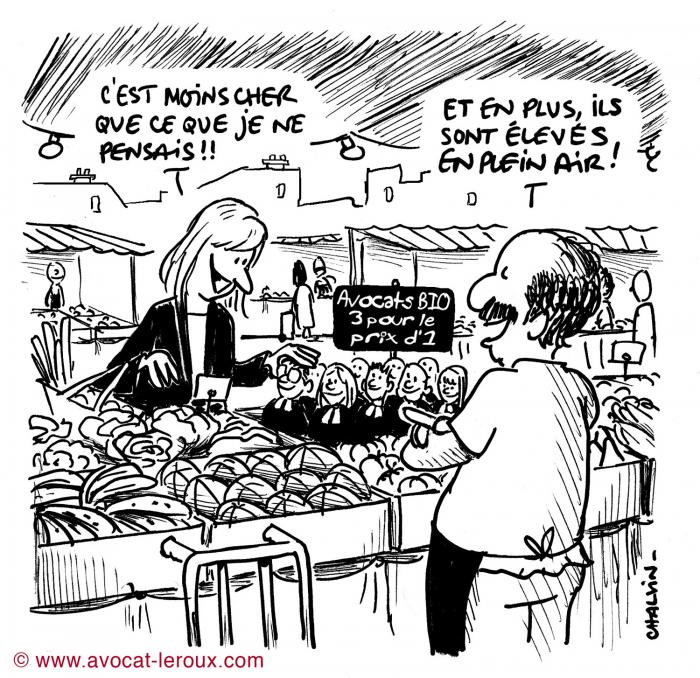 Cher avocat et avocat cher