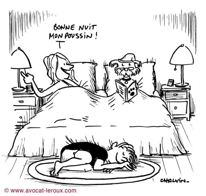 Le couple est un animal déraisonnable